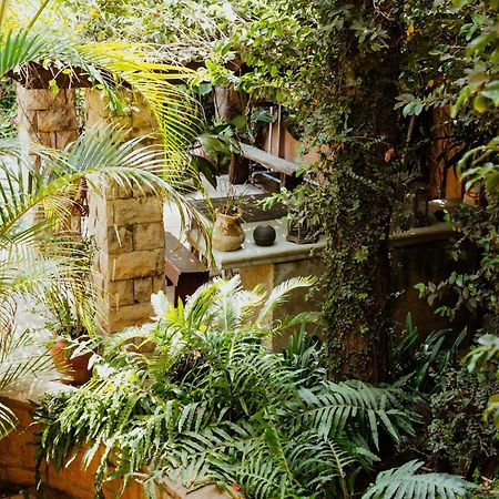 Terra Casa Guesthouse ルステンブルク エクステリア 写真