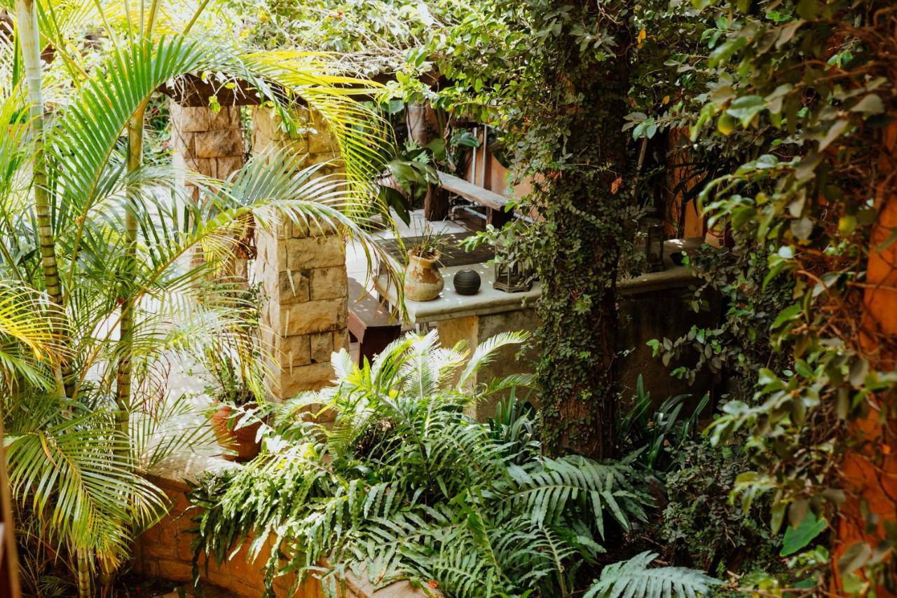 Terra Casa Guesthouse ルステンブルク エクステリア 写真