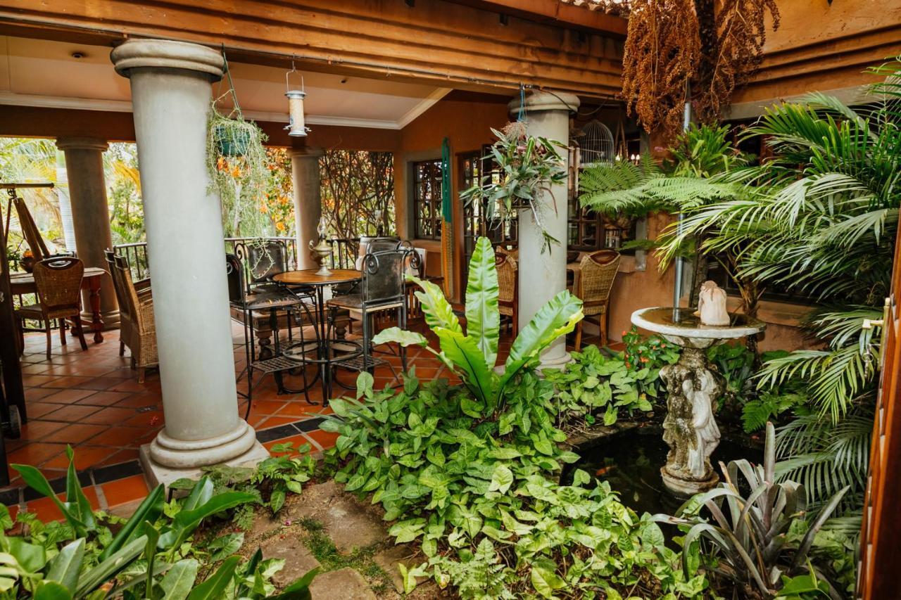 Terra Casa Guesthouse ルステンブルク エクステリア 写真