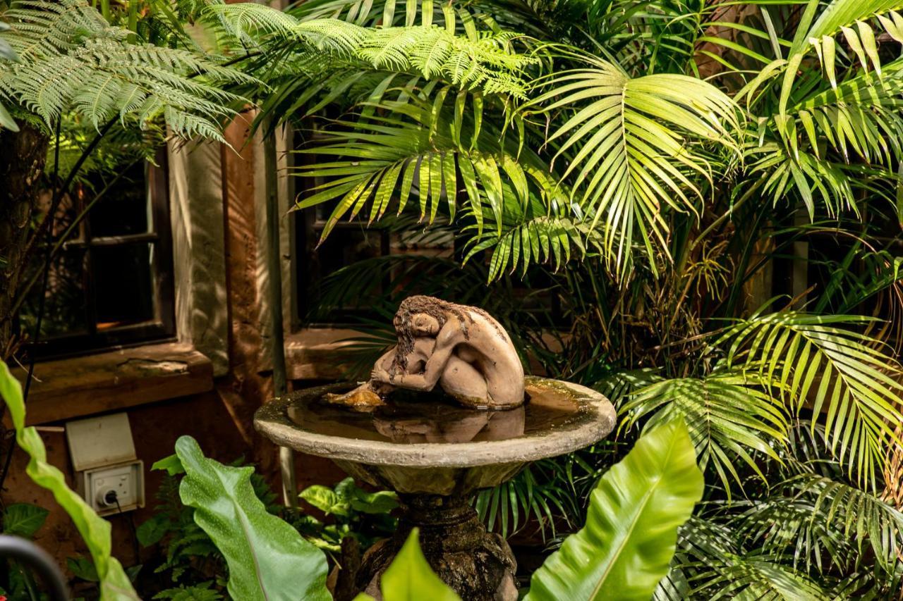 Terra Casa Guesthouse ルステンブルク エクステリア 写真