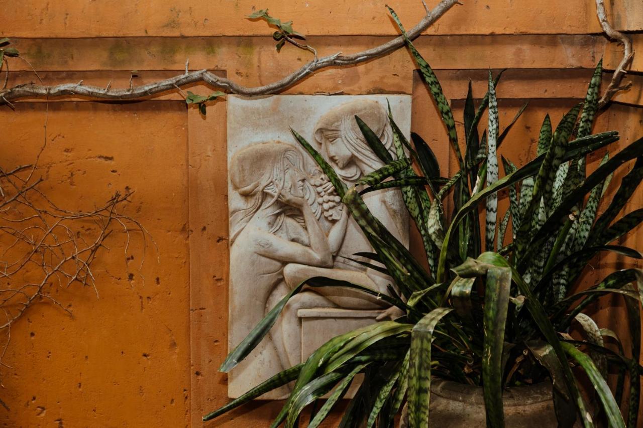 Terra Casa Guesthouse ルステンブルク エクステリア 写真