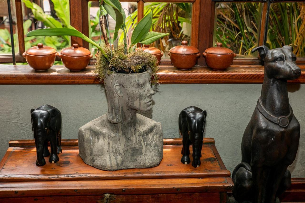Terra Casa Guesthouse ルステンブルク エクステリア 写真